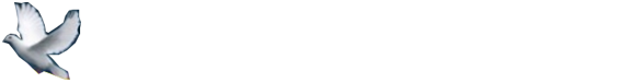 MIRA International Co.,Ltd. 株式会社ミラ・インターナショナル